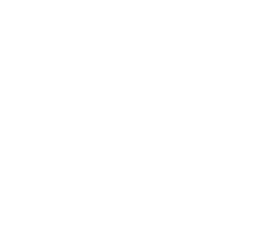 Cat Symptoms